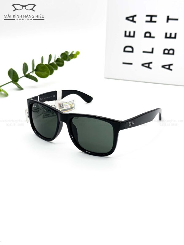 RAYBAN 4165F 601.71 54 17 140 4250K 2 1