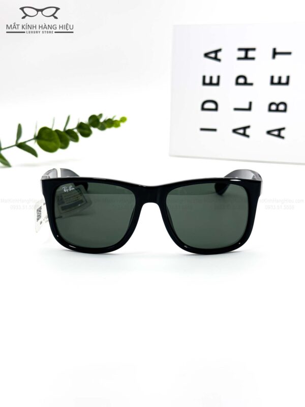 RAYBAN 4165F 601.71 54 17 140 4250K 3 2