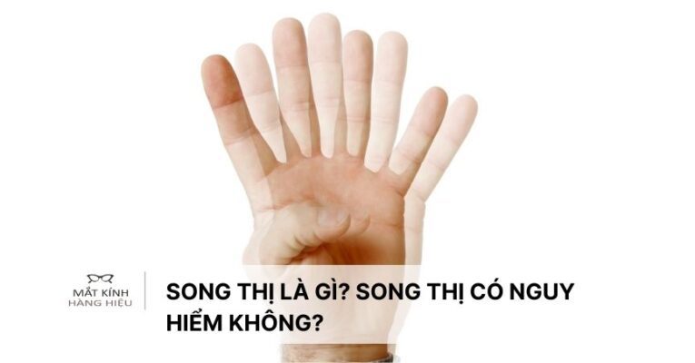song-thi-la-gi