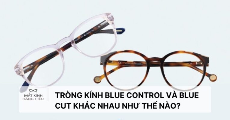 trong-kinh-blue-control