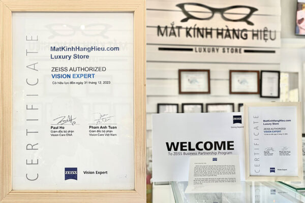 Mắt Kính Hàng Hiệu - Zeiss Vision Expert