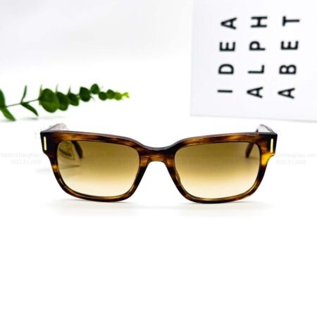 RAYBAN RB2190 954.51 55 20 145 5250 50 5 6