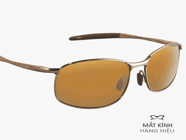 kinh phan cuc polarized