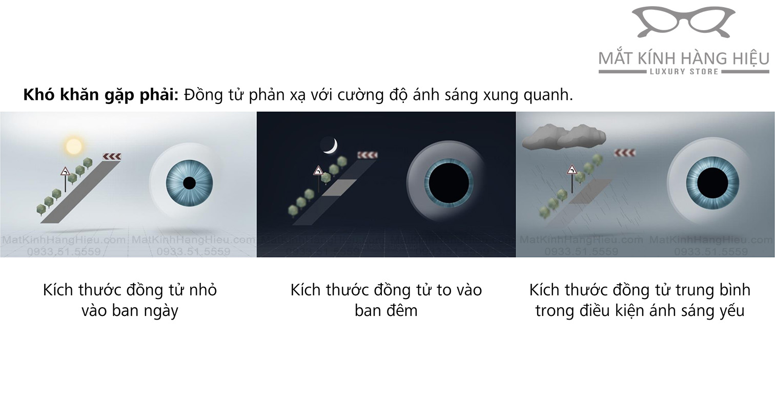 Kích thước đồng tử - zeiss drivesafe