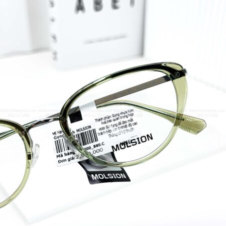 MOLSION MJ6200 B80 52 20 148 2580K 1 7