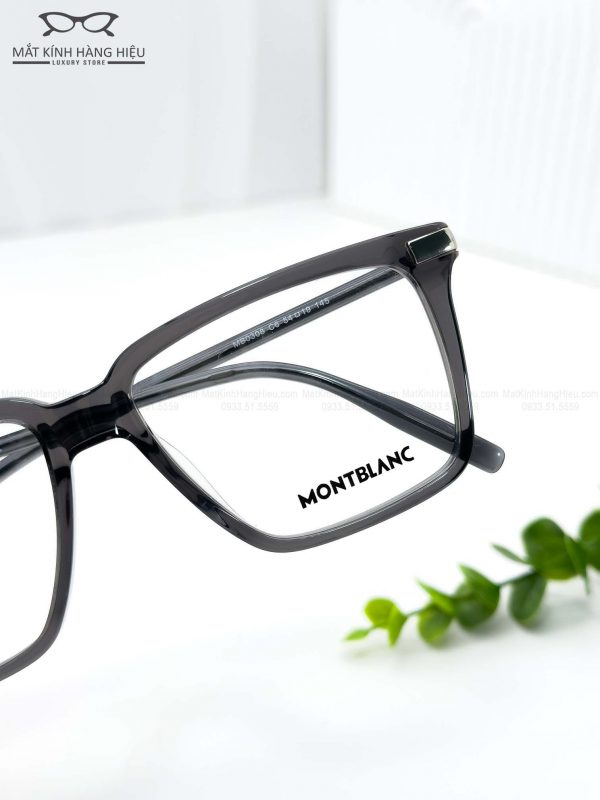 MONTBLANC MB0308 C6 54 19 145 750K 9 4