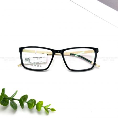 LINDBERG 1228 GT 54 18 145 1100K 1 6