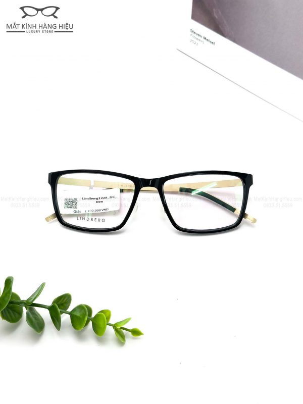 LINDBERG 1228 GT 54 18 145 1100K 1 2