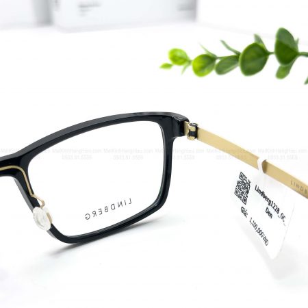 LINDBERG 1228 GT 54 18 145 1100K 4 9