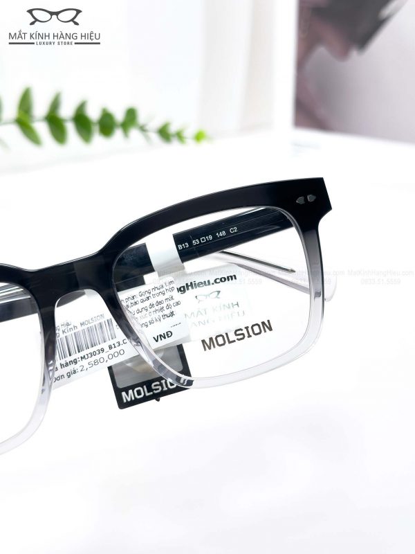 MOLSION MJ3039 B13 53 19 148 2580K 2 4