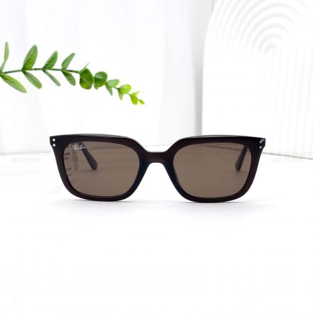 RAYBAN RB4439D 6231.73 54 21 145 4280K 2 6