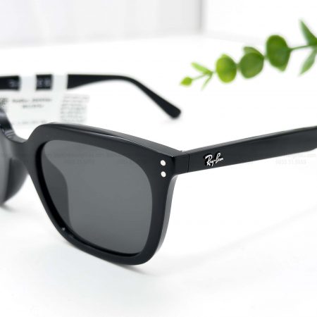 RAYBAN RB4439D 901.87 54 21 145 4280K 3 7