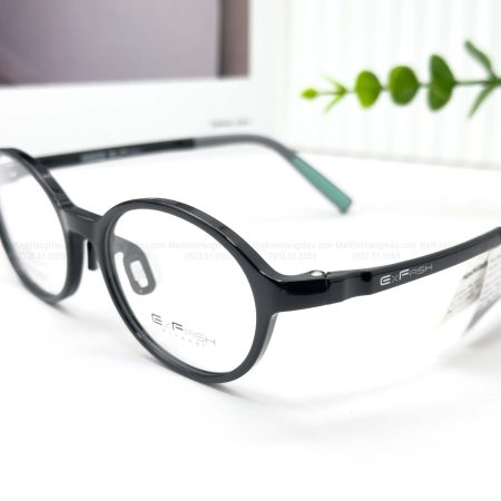 EXFASH EF45447 C13 49 17 139 640K3 2