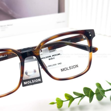MOLSION MJ3180 B20 55 20 150 2480K4 3