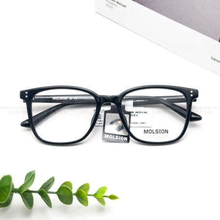 MOLSION MJ5130 B10 53 19 148 2580K1 1
