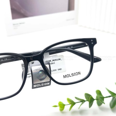 MOLSION MJ5130 B10 53 19 148 2580K2 3