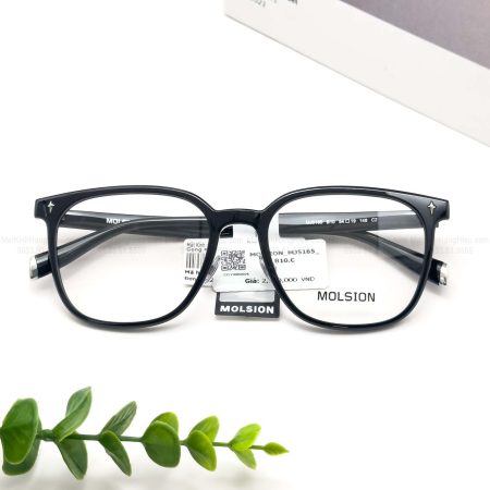 MOLSION MJ5165 B10 54 19 148 2580K1 1